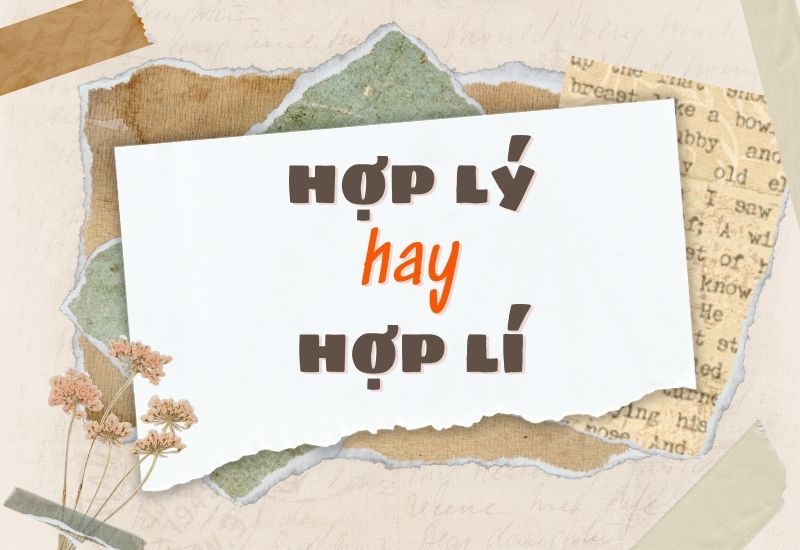 Hợp Lý Hay Lý? Phân Tích Khác Biệt Và Ứng Dụng