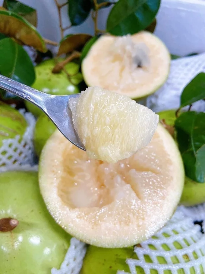 Vietnamese Sapodilla (Vú Sữa): A Sweet and Creamy Delight Gallery 2