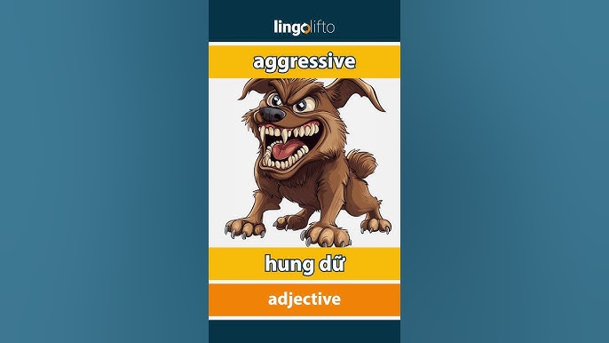Aggressive in English