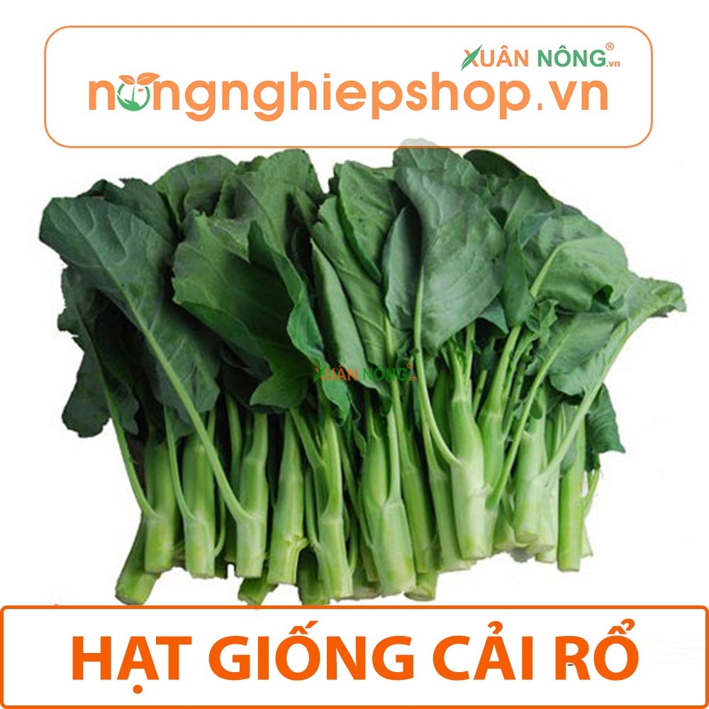 Hạt giống cải rổ Gallery 1