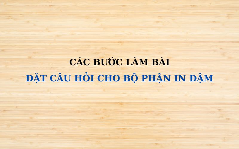 Đặt Câu Hỏi Cho Bộ Phận In Đậm Lớp 2 Tuần 27 Gallery 1