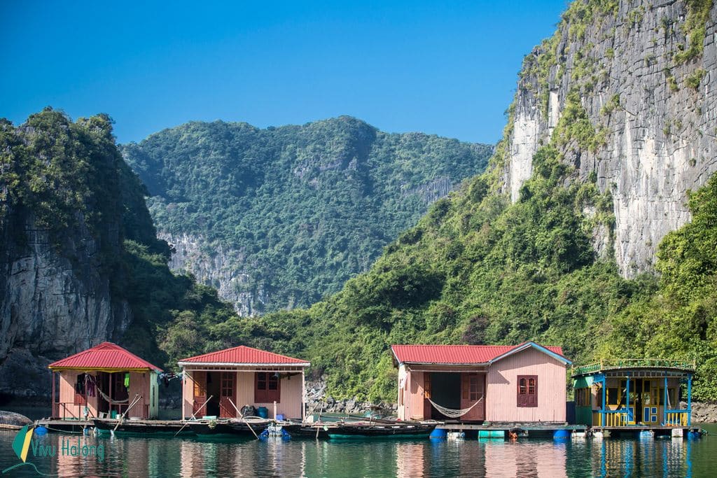 Vịnh Cây Vông - Thiên Đường Hoang Sơ Giữa Biển Khơi Gallery 2
