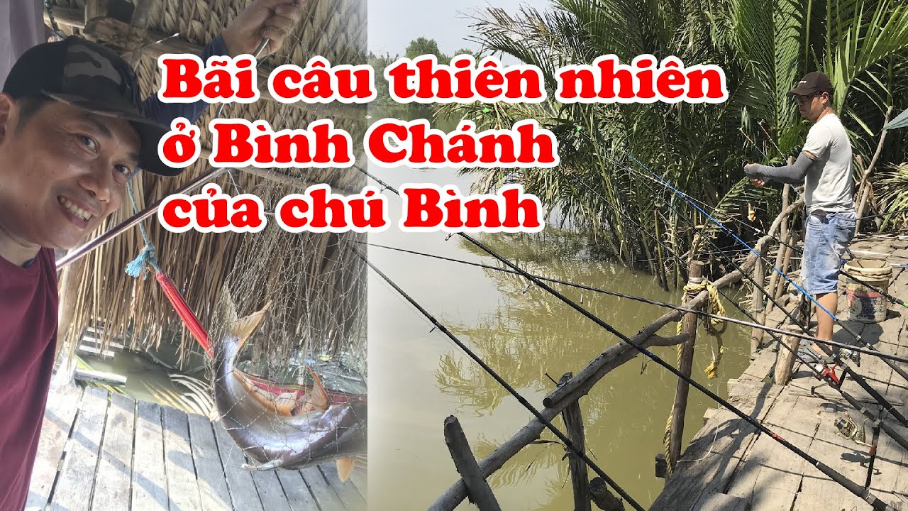 Chòi Câu Cá Chú Bình Gallery 2