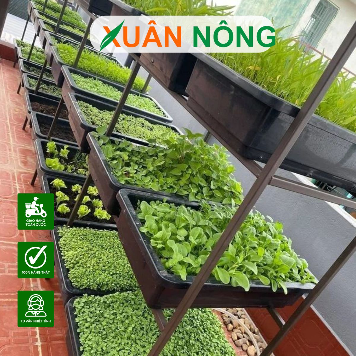 Kệ Trồng Rau Ban Công: Giải Pháp Tối Ưu Cho Vườn Rau Xanh Mát Tại Nhà Gallery 2