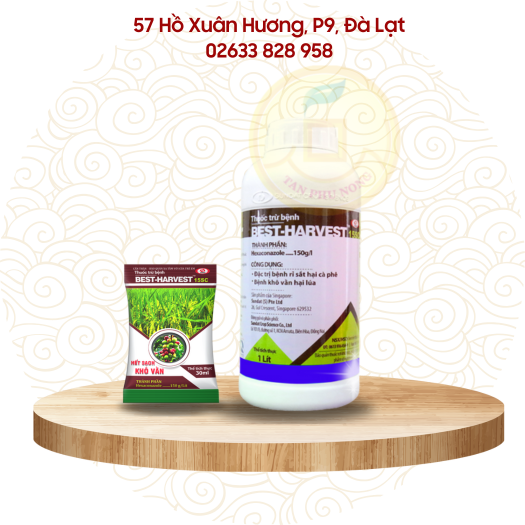 Hương Lạt Manh Thê Gallery 2