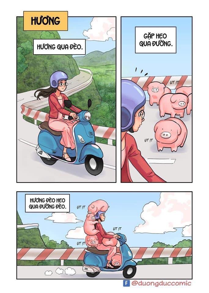 Hương Qua Đèo