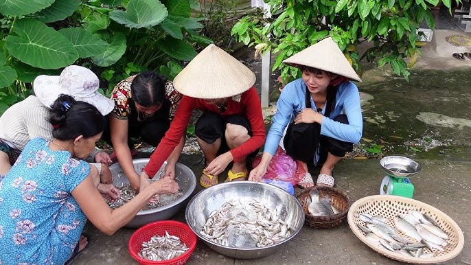 Hương Que Mới Nhất