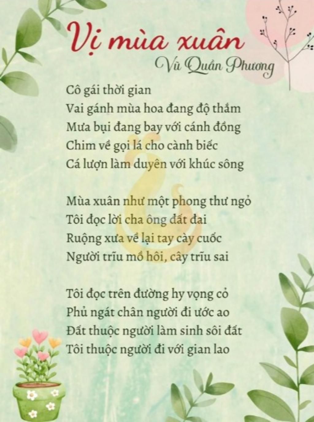 Phân tích vị mùa xuân Gallery 1