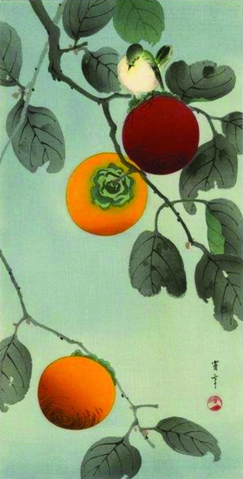 Thơ về Quả Hồng Gallery 2