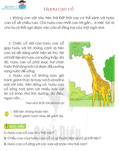 Hươu Cao Cổ - Những điều thú vị dành cho các bạn lớp 2