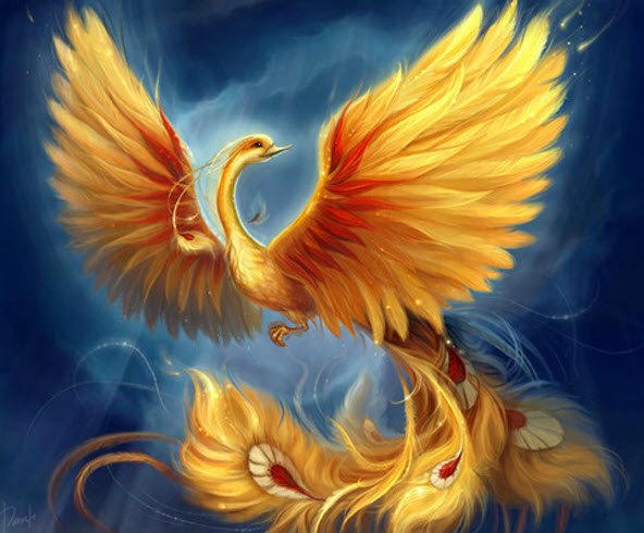 Tiếng Chim Phượng Hoàng Đất: Bí Ẩn Và Sự Thật Gallery 2