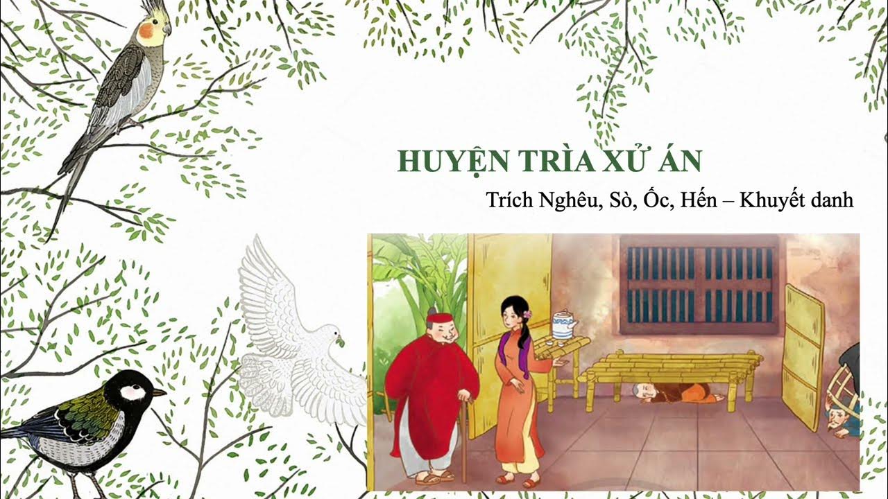 Huyện Trìa Xử Án Chân Trời Sáng Tạo Gallery 2