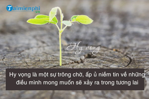 Hy Vọng Là Gì?