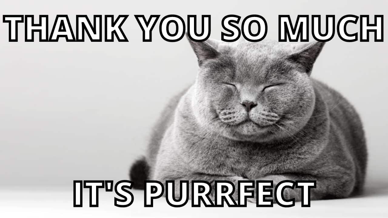 I Appreciate You Meme Cute Gallery 1