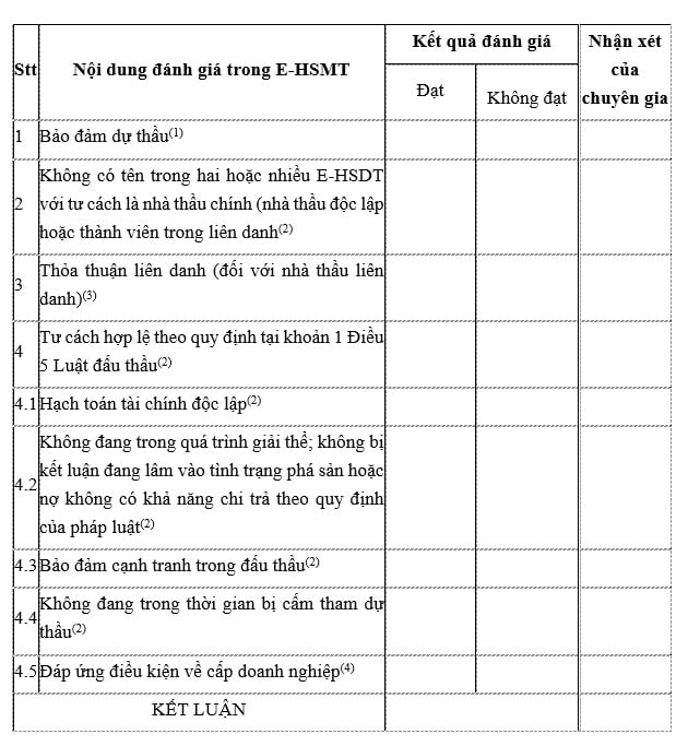 Mẫu Báo Cáo Đánh Giá Hệ Thống E-HSĐT Chuẩn SEO Gallery 1