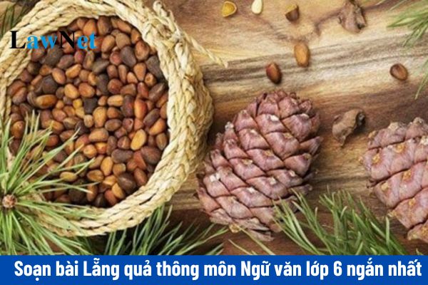 Soạn Bài Lẵng Quả Thông Ngắn Nhất Gallery 1