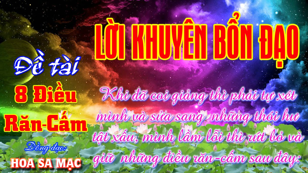 Tám Điều Răn Cấm Gallery 1