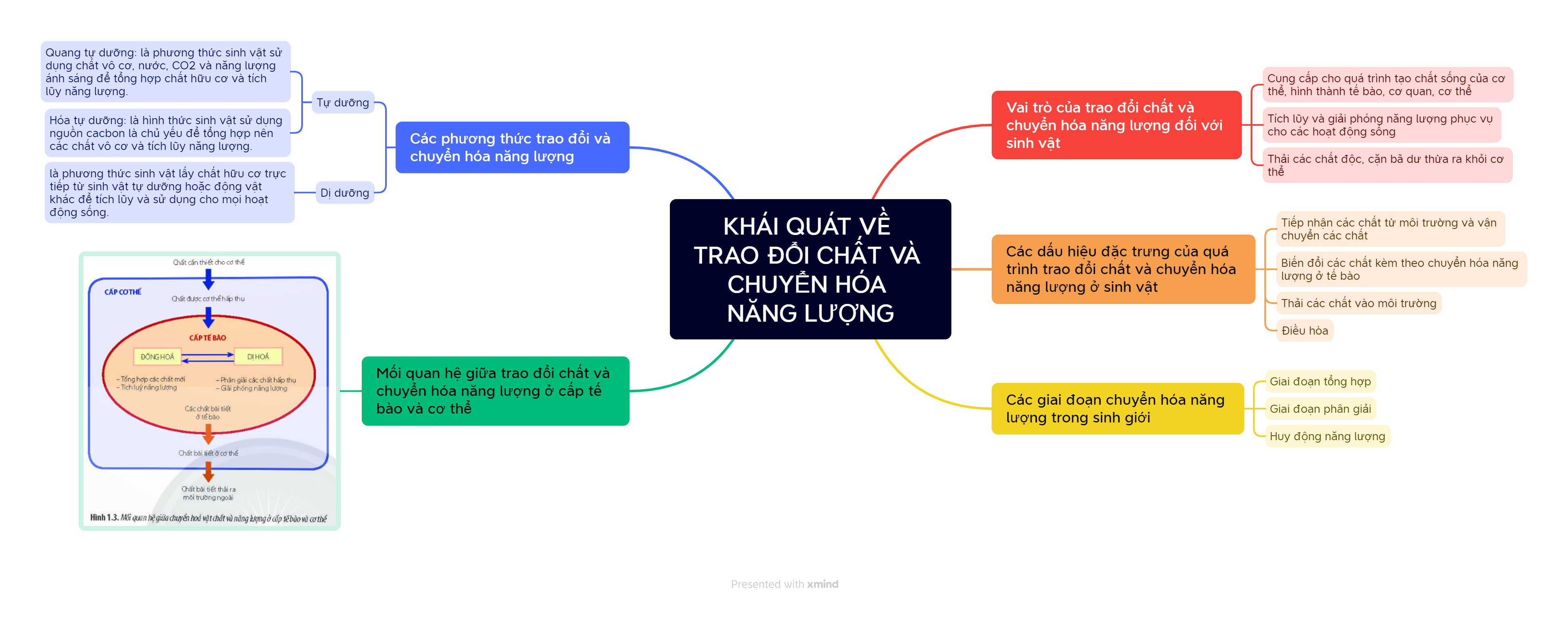 Sơ đồ tư duy Sinh 11 bài 1: Thế giới sống Gallery 1