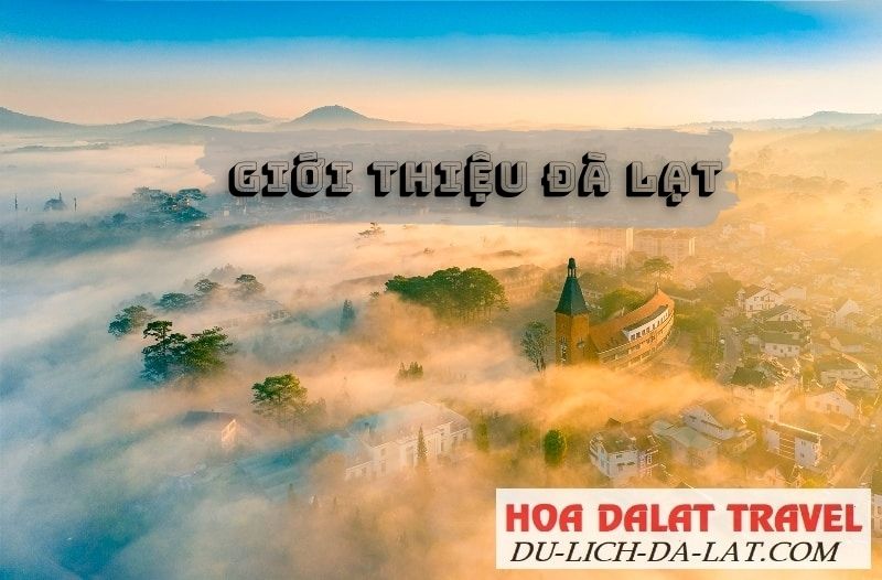 Thuyết Trình Về Đà Lạt: Thành Phố Mộng Mơ Giữa Cao Nguyên Gallery 1