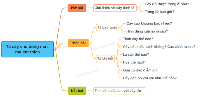 Dàn ý tả cây bóng mát lớp 4 Gallery 1