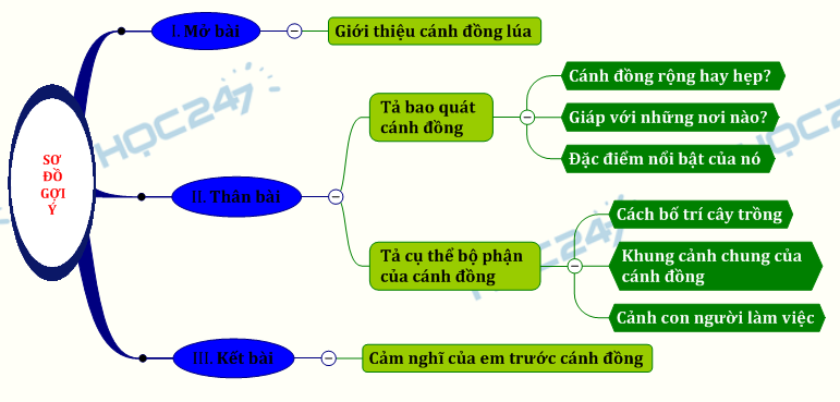 Tả Cánh Đồng Gallery 1