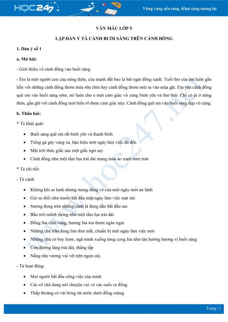 Lập Dàn Ý Tả Cánh Đồng Lớp 5 Gallery 1