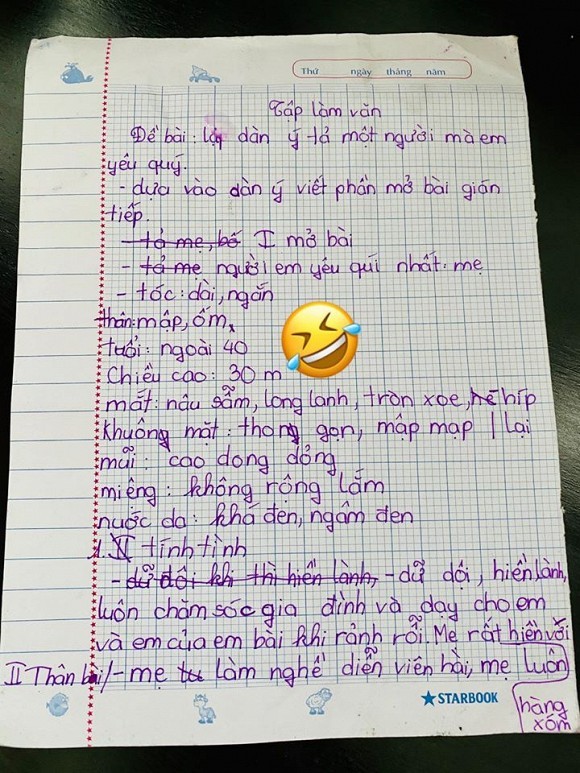Lập Dàn Ý Tả Mẹ Ngắn Gallery 1