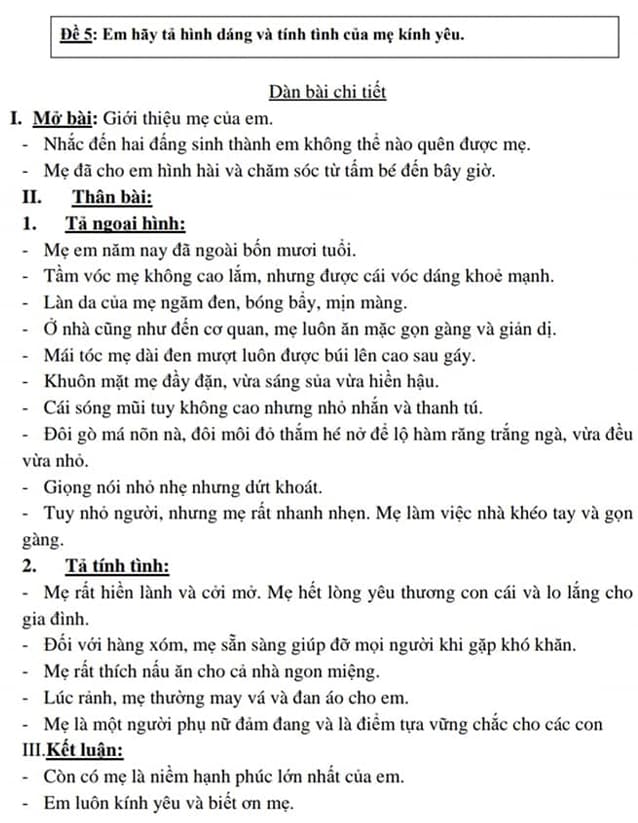 Lập dàn ý tả bà ngoại của em Gallery 1
