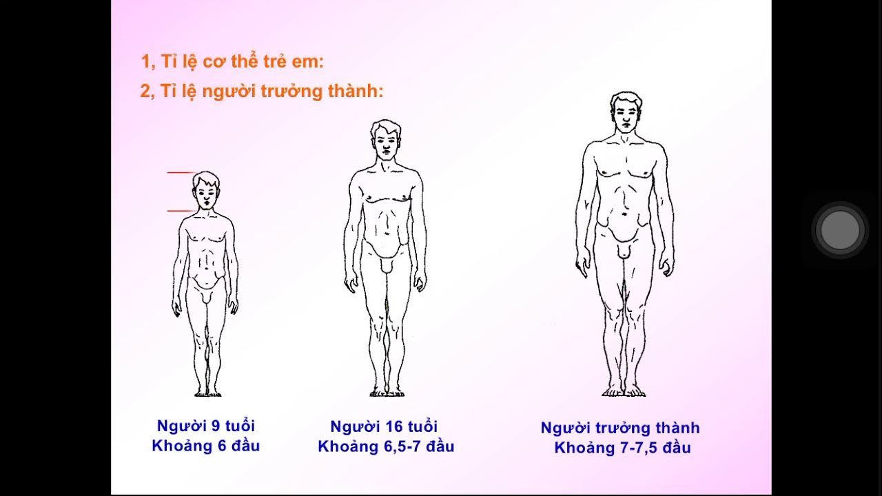 Mĩ thuật 8: Vẽ dáng người chuẩn xác và sinh động Gallery 1