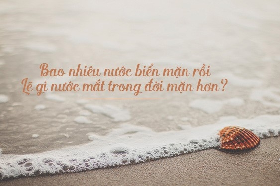 STT về Biển và Em: Những Câu Nói Hay Nhất Về Tình Yêu Biển Cả Gallery 1