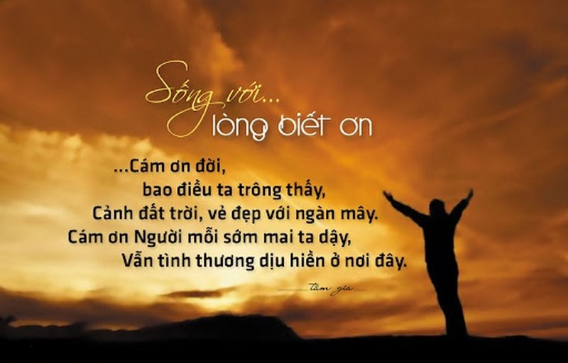 Những Câu Status Hay Về Cuộc Sống: Lời Khôn Ngoan Và Cảm Xúc Thật Gallery 1