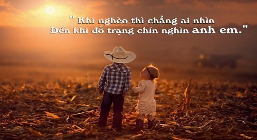 STT Anh Em Tốt: Những Câu Nói Hay Về Tình Bạn Thân Thiết Gallery 1