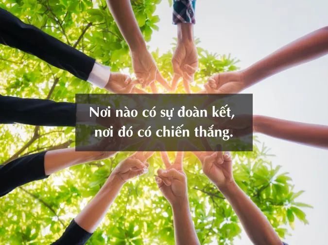 STT về đội nhóm: Những câu nói hay nhất về tinh thần đồng đội Gallery 1