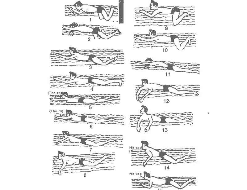 Phân tích kỹ thuật bơi ếch Gallery 1