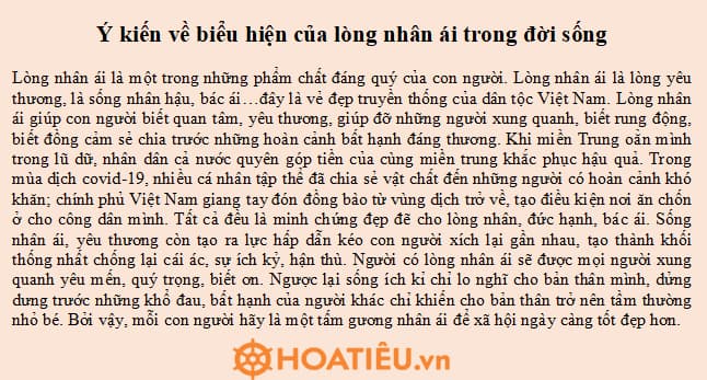 Dàn Ý Lòng Nhân Ái Gallery 2