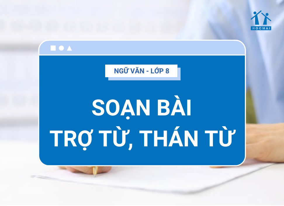 Soạn Bài Trợ Từ, Thán Từ Lớp 8: Hướng Dẫn Chi Tiết Gallery 2