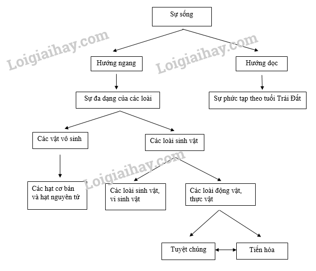 Soạn Văn Bài Sự Sống Và Cái Chết Gallery 2
