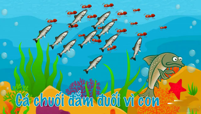 Sưu tầm điển tích điển cố: Nguồn cảm hứng bất tận cho văn chương và đời sống Gallery 2