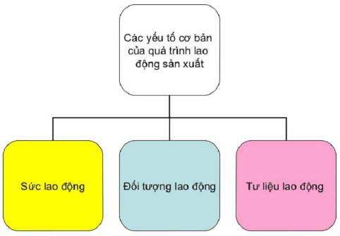Sơ đồ tư duy bài 1 GDCD 11: Hiện tượng xã hội Gallery 2