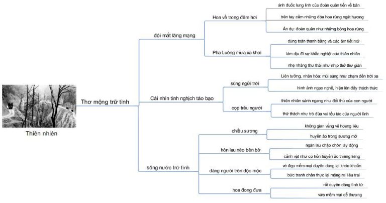 Tây Tiến Sơ Đồ Tư Duy Gallery 2