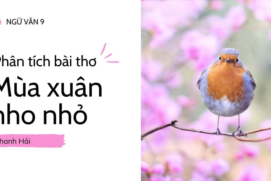 Bố cục bài thơ Mùa xuân nho nhỏ Gallery 2