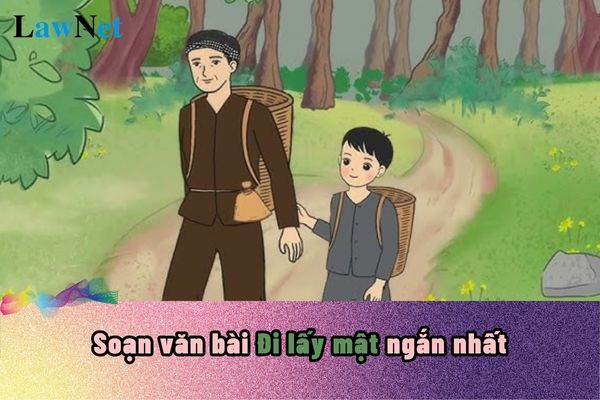 Soạn Bài Đi Lấy Mật Gallery 2