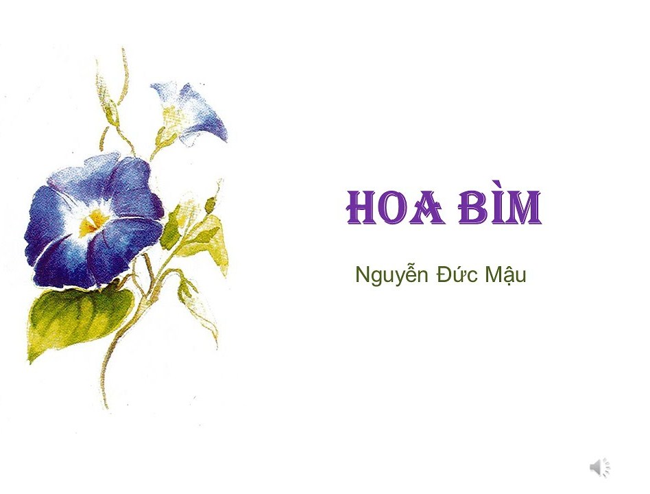 Soạn bài Hoa Bìm Bìm lớp 6 Chân trời sáng tạo Gallery 2