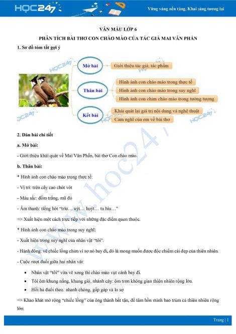 Soạn Văn Lớp 6: Con Chào Mào - Chi Tiết, Đầy Đủ Gallery 2