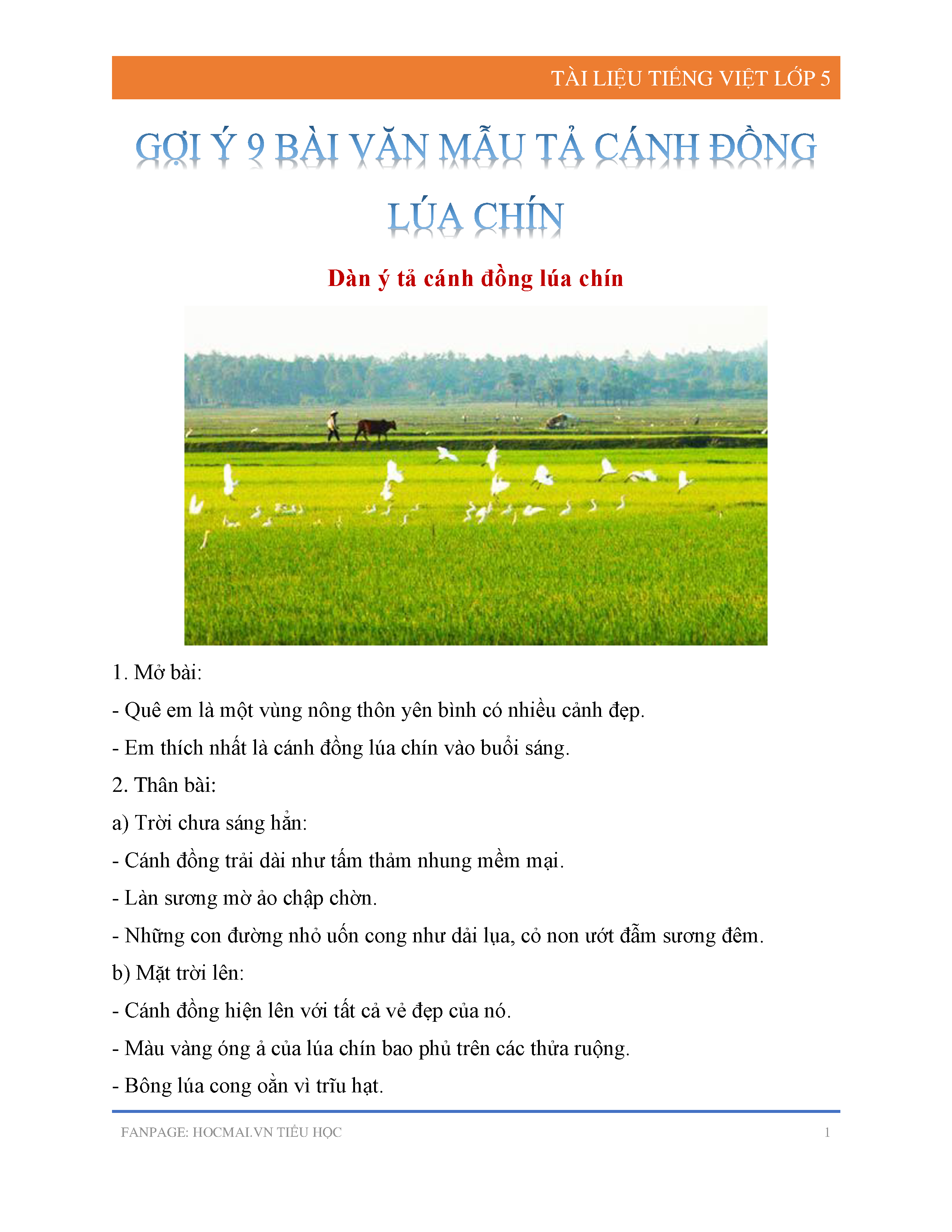 Tả Cánh Đồng Gallery 2