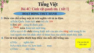 Bài 4C: Cảnh Vật Quanh Em Gallery 2