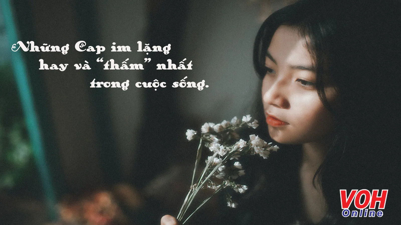 Im lặng là giới hạn của sự chịu đựng Gallery 2