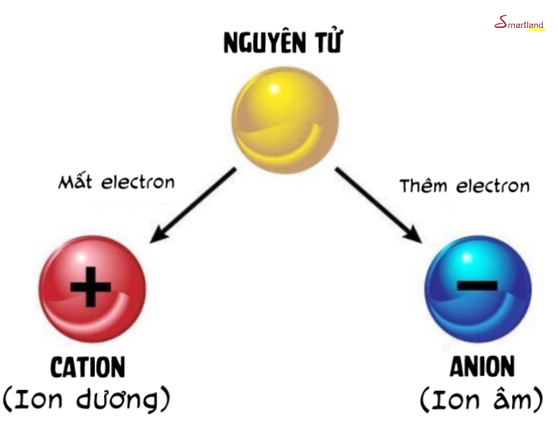 Ion âm gọi là gì?