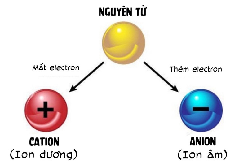 Ion Dương Là Gì?