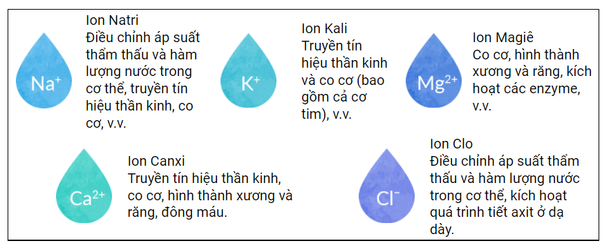 Ion Khoáng Là Gì?